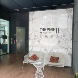 The Peak @ Cairnhill II (D9), Apartment #453132321
